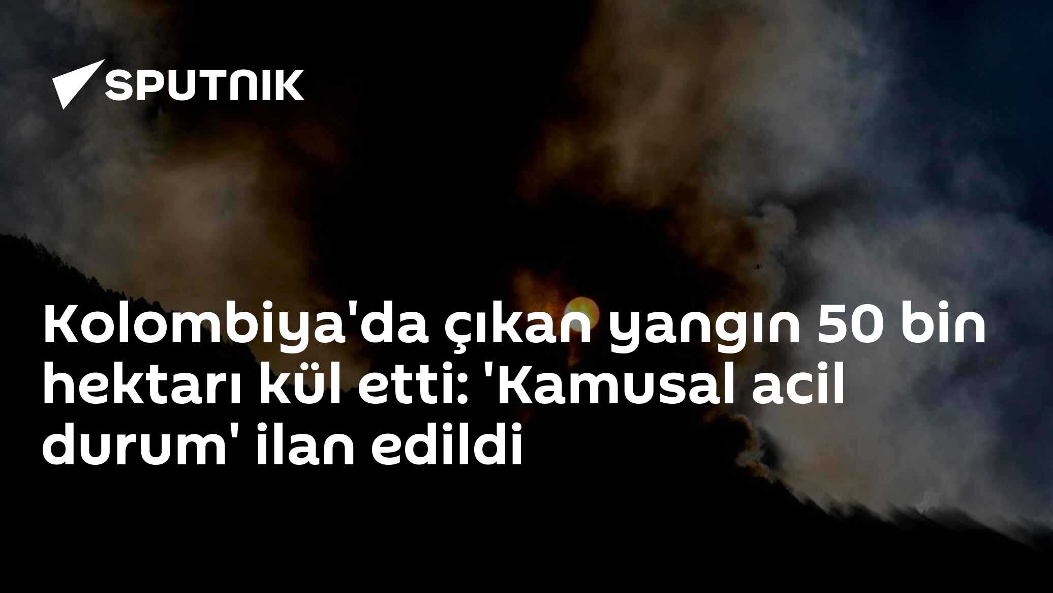 Kolombiya'da çıkan yangın 50 bin hektarı kül etti: 'Kamusal acil durum' ilan edildi