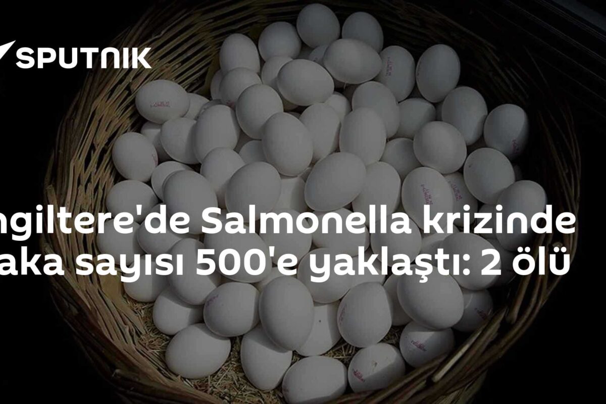 İngiltere'de Salmonella krizinde vaka sayısı 500'e yaklaştı: 2 ölü