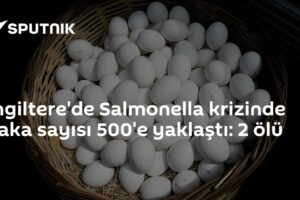 İngiltere'de Salmonella krizinde vaka sayısı 500'e yaklaştı: 2 ölü