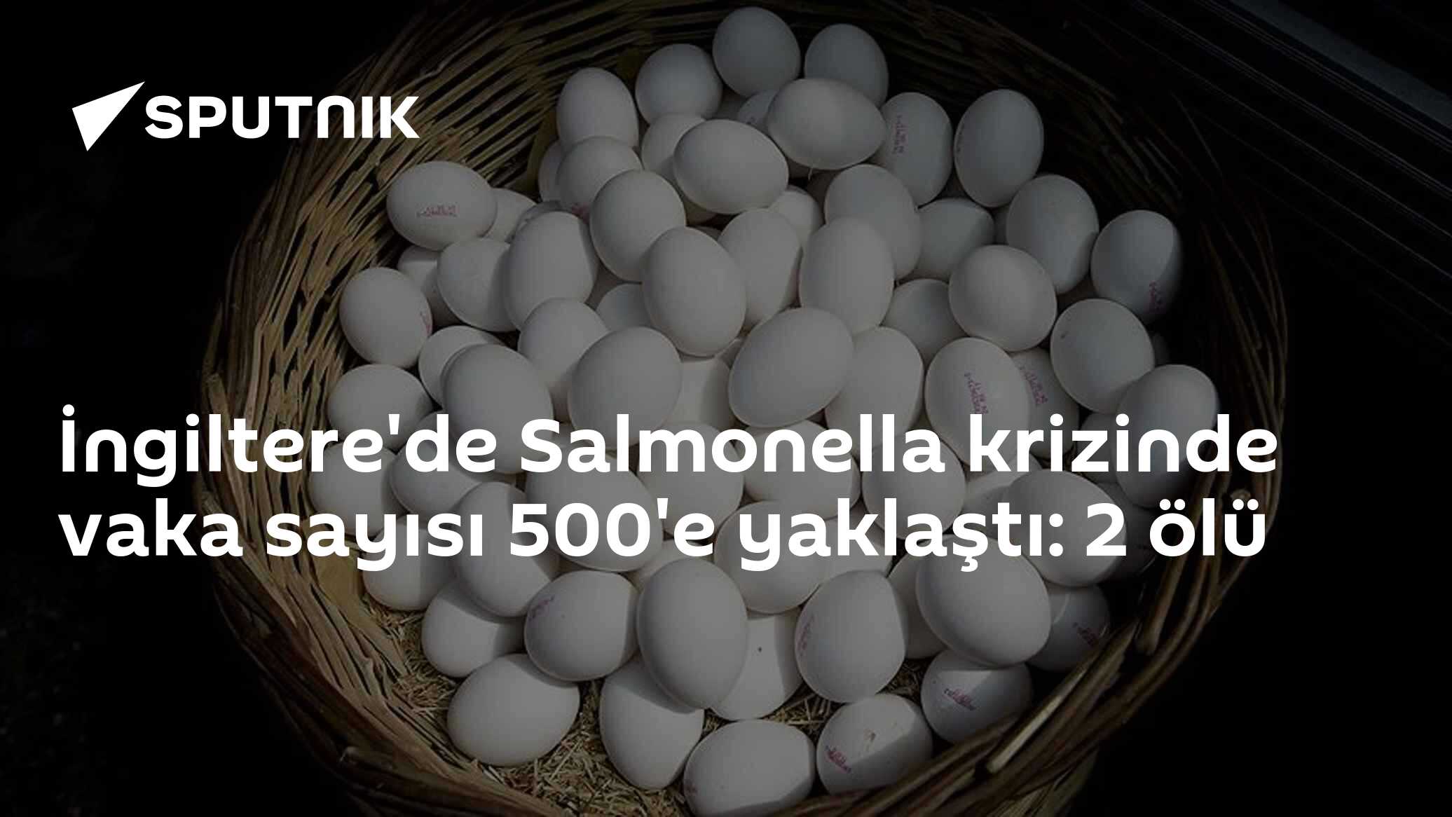 İngiltere'de Salmonella krizinde vaka sayısı 500'e yaklaştı: 2 ölü
