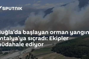 Muğla’da başlayan orman yangını Antalya’ya sıçradı: Ekipler müdahale ediyor