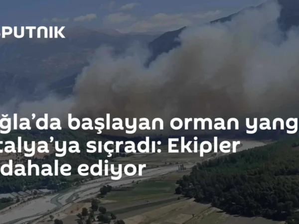 Muğla’da başlayan orman yangını Antalya’ya sıçradı: Ekipler müdahale ediyor