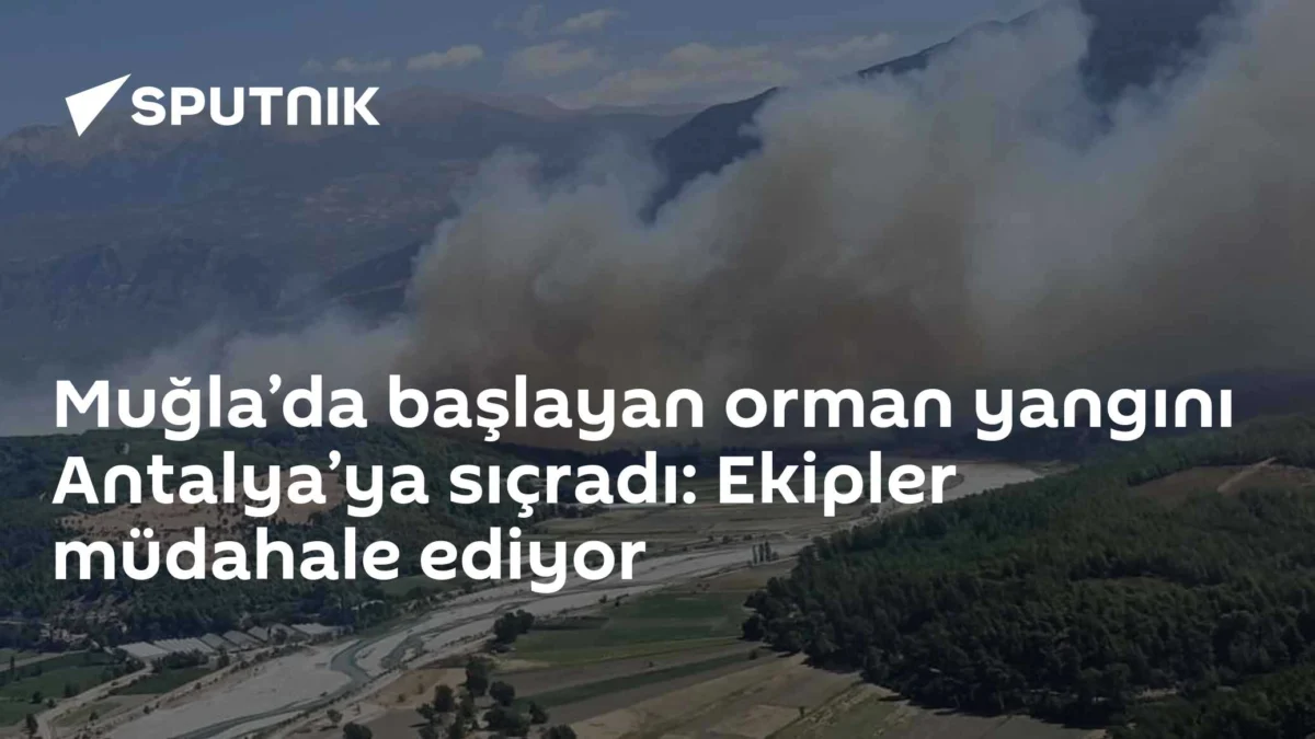 Muğla’da başlayan orman yangını Antalya’ya sıçradı: Ekipler müdahale ediyor