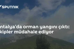 Antalya'da orman yangını çıktı: Ekipler müdahale ediyor