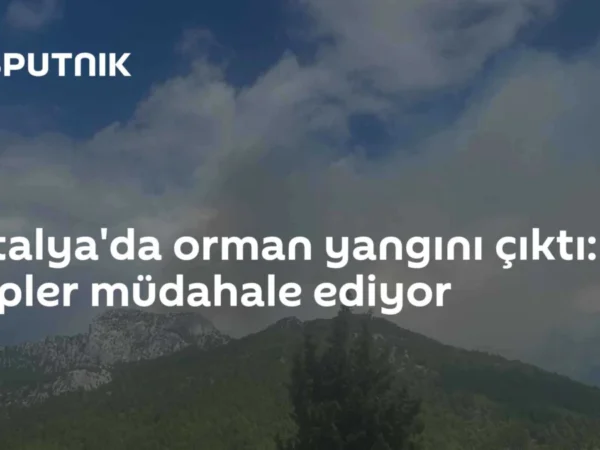 Antalya'da orman yangını çıktı: Ekipler müdahale ediyor