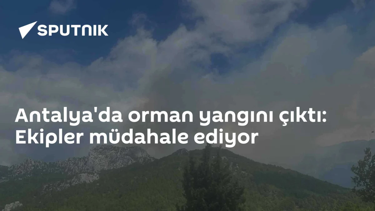 Antalya'da orman yangını çıktı: Ekipler müdahale ediyor