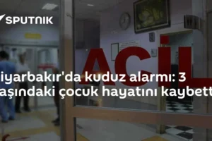 Diyarbakır'da kuduz alarmı: 3 yaşındaki çocuk hayatını kaybetti