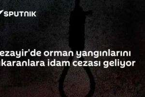 Cezayir'de orman yangınlarını çıkaranlara idam cezası geliyor
