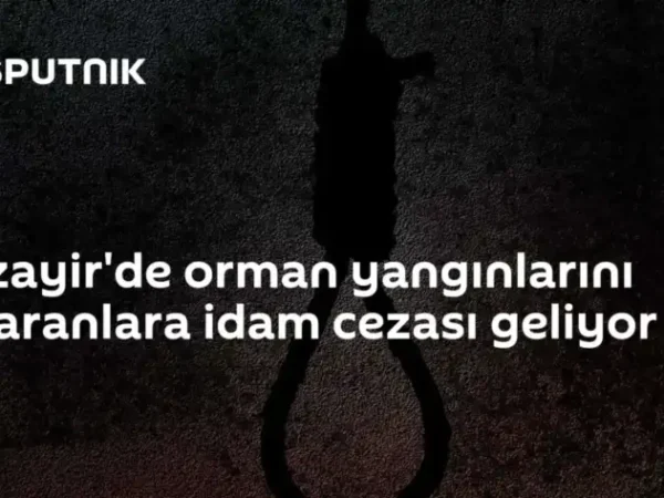Cezayir'de orman yangınlarını çıkaranlara idam cezası geliyor