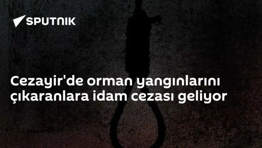 Cezayir'de orman yangınlarını çıkaranlara idam cezası geliyor