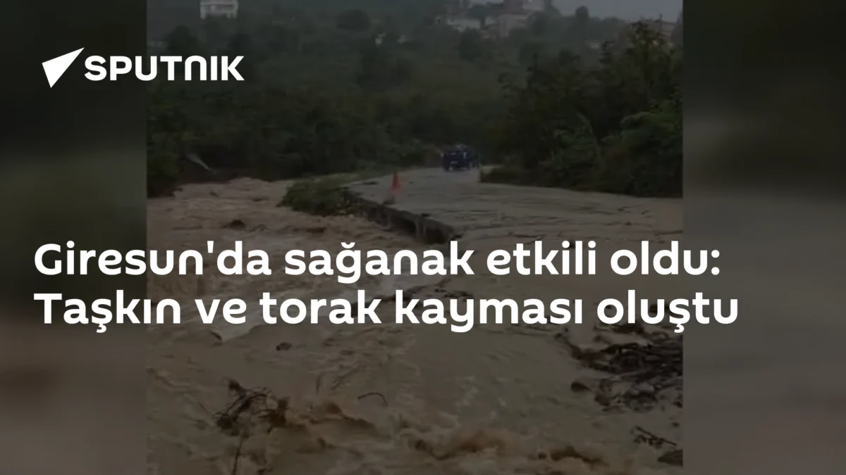 Giresun'da sağanak etkili oldu: Taşkın ve torak kayması oluştu