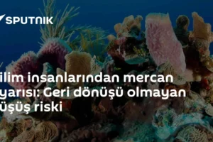 Bilim insanlarından mercan uyarısı: Geri dönüşü olmayan düşüş riski