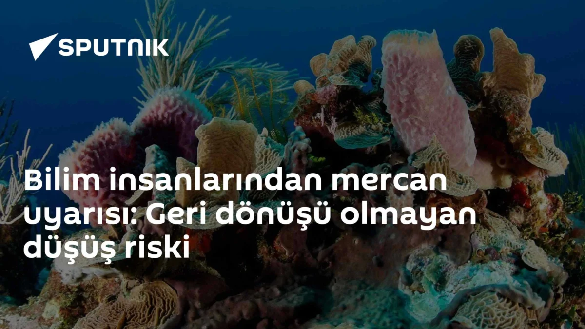 Bilim insanlarından mercan uyarısı: Geri dönüşü olmayan düşüş riski