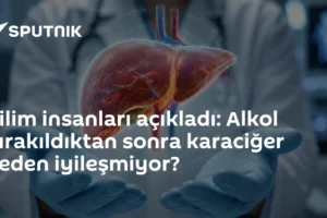 Bilim insanları açıkladı: Alkol bırakıldıktan sonra karaciğer neden iyileşmiyor?