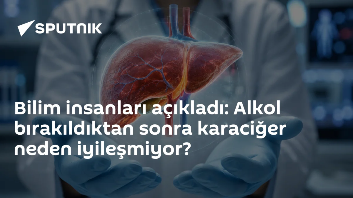 Bilim insanları açıkladı: Alkol bırakıldıktan sonra karaciğer neden iyileşmiyor?