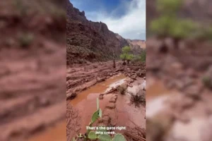 Grand Canyon'da sel: Phantom Ranch'ta 20'den fazla kişi kayıp