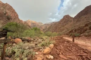 Grand Canyon'da sel felaketi: 46 yaşında bir adamın cansız bedenine ulaşıldı