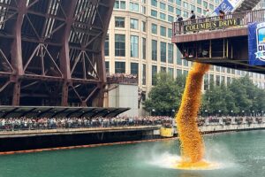 Chicago Nehri'nde 90 bin lastik ördek, bağış için yarıştı