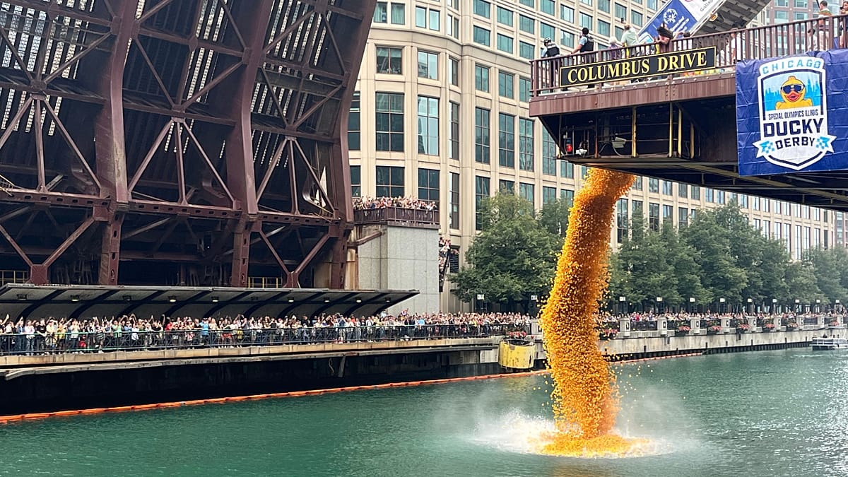 Chicago Nehri'nde 90 bin lastik ördek, bağış için yarıştı