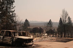Washington ormanlarında duman yükseldi, yangınla mücadele sürdü