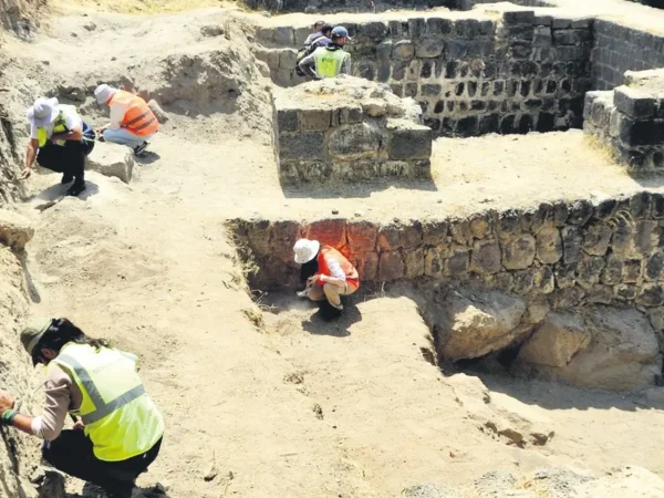 Malazgirt’teki şehitlerimizin mirası gün yüzüne çıkıyor