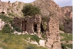 Bakanlıktan Feqiyê Teyran Medresesi için restorasyon kararı