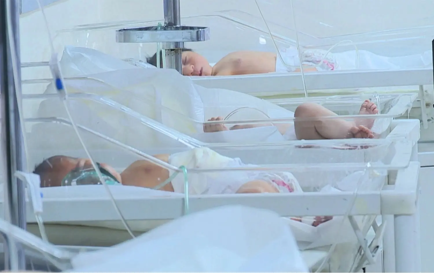 UNFPA’dan Rûdaw’a: Kürdistan’da doğurganlık Irak ortalamasının altında