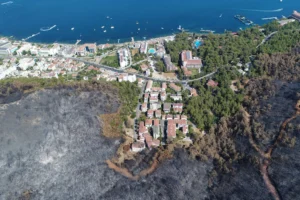 Bu kentte her 10 yangından 7'sini insanlar çıkarıyor