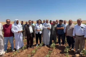 Urfa Milletvekili Dilan Kunt Ayan: Bu köyde 40 gündür elektrik yok, 20 bin dönüm tarım arazisi kurudu