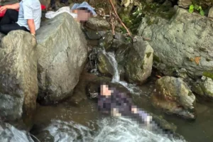 Ordu'da dere kenarında 2 kız kardeşin cansız bedeni bulundu