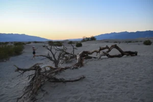 Ölüm Vadisi'nde trajedi: Aracı çamura saplanan turist sıcaktan hayatını kaybetti