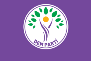 DEM Parti Kadın Meclisi: Rojin Kabaiş cinayetinin üzerinin örtülmesine izin vermeyeceğiz