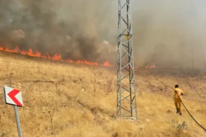 Diyarbakır'da örtü ve orman yangını