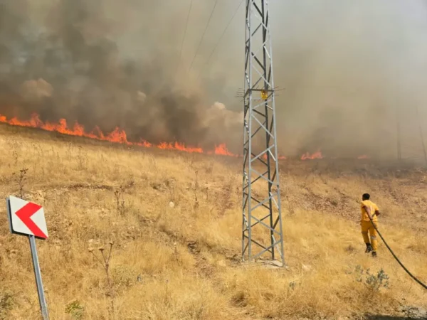 Diyarbakır'da örtü ve orman yangını