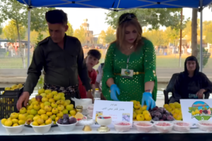 Taq Taq incir festivali başladı: İlk günde 10 tondan fazla incir alıcı buldu