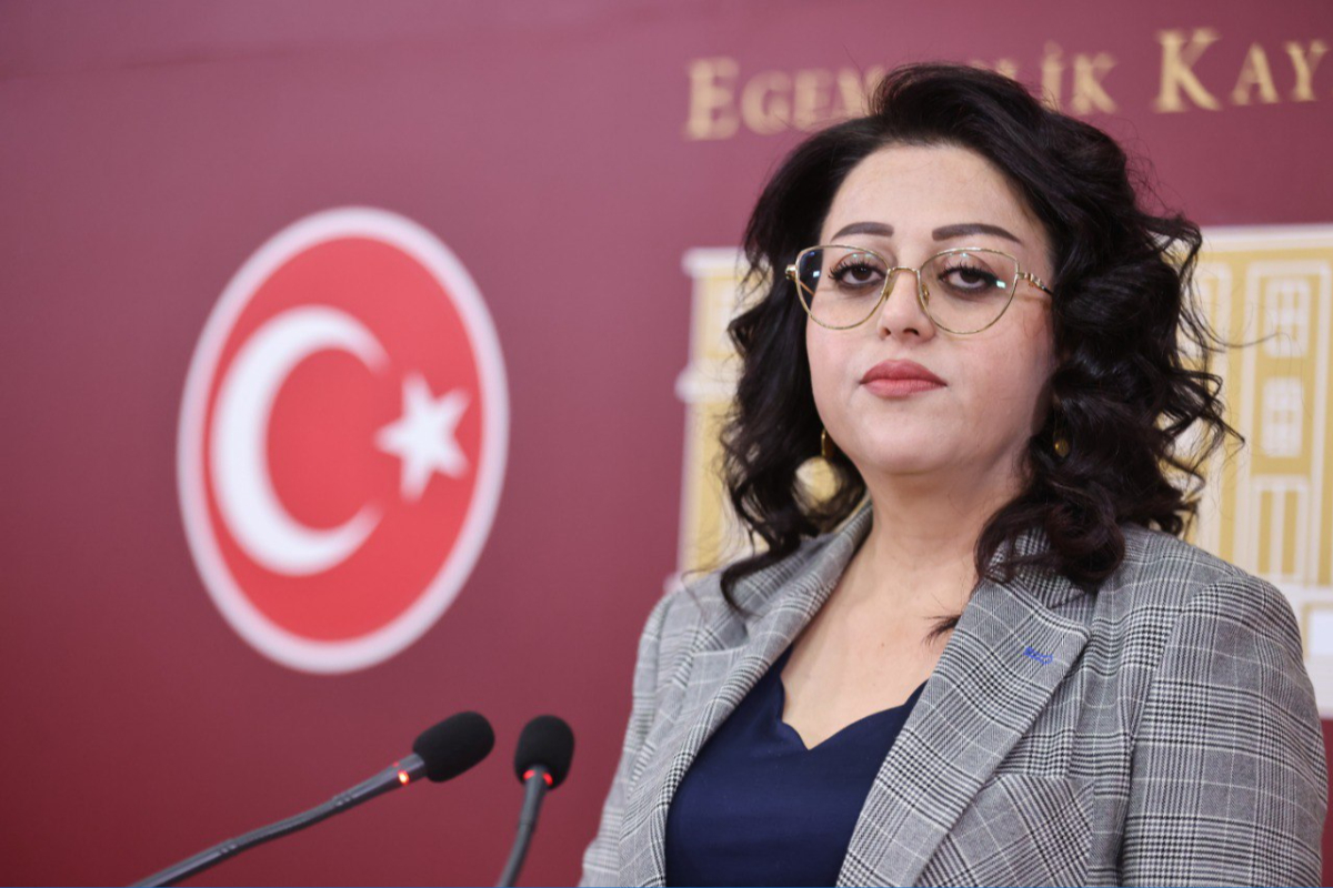 DEM Parti'li Bartin, Hakkari'deki madencilik faaliyetlerine ilişkin Meclis araştırması istedi