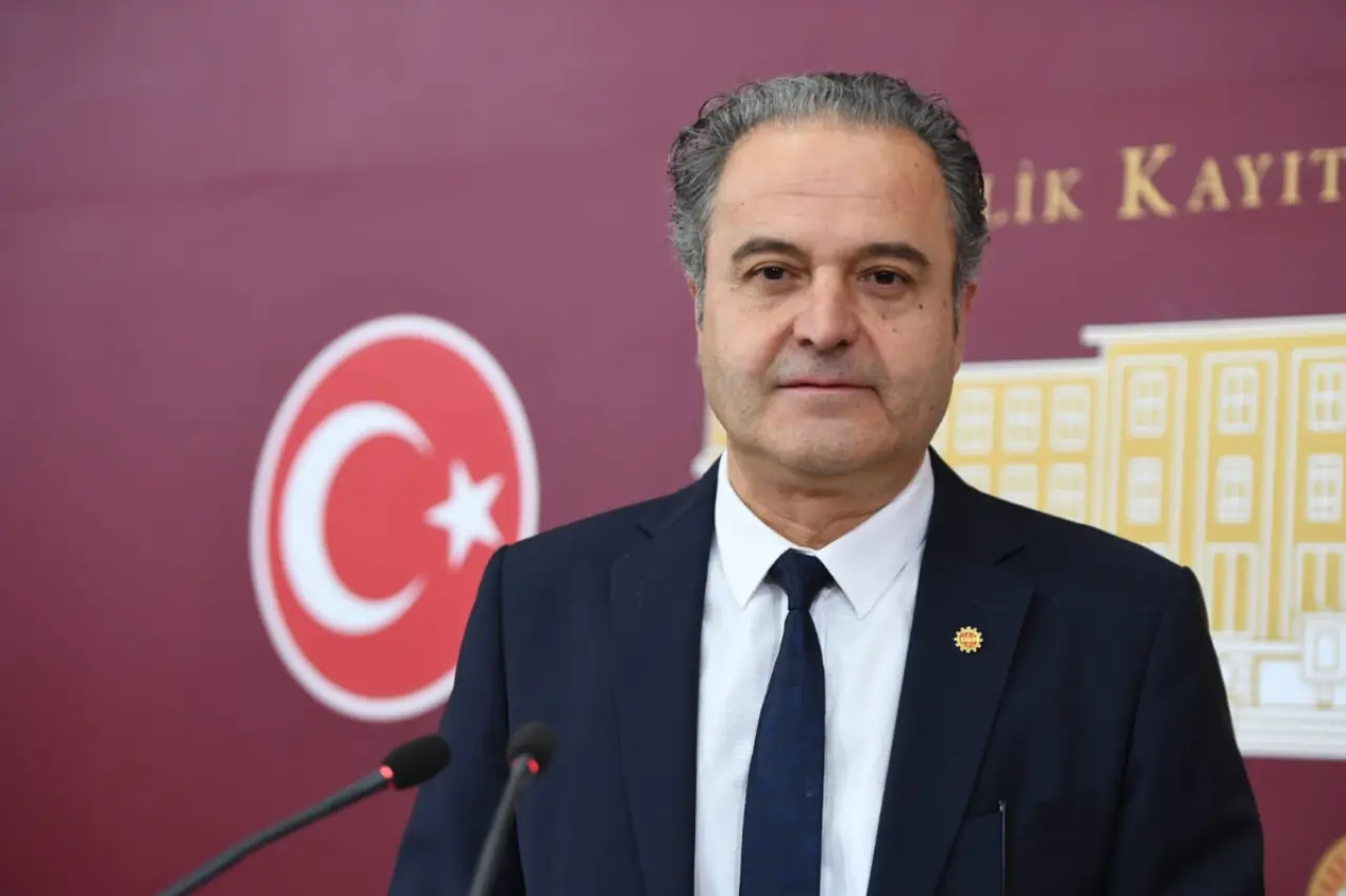 Dokuz Eylül Üniversitesindeki intihal skandalı Meclis gündeminde: "Profesörlük ataması ne olacak?"