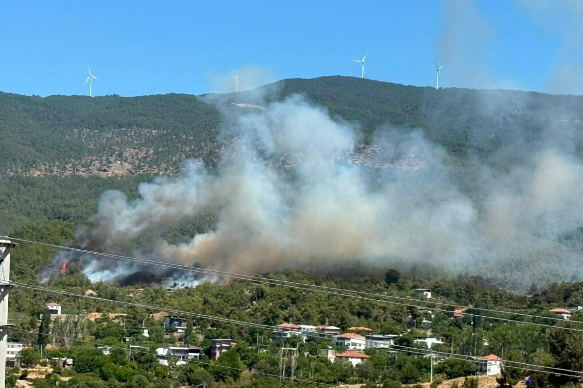 Aydın'daki yangınla bağlantılı gözaltılardan biri tutuklamayla sonuçlandı