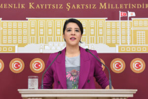 EMEP'li Sevda Karaca'dan ‘Sayıştay skandalı’ tepkisi: Usulsüzlüğü tespit eden denetçiye ihraç ve mobbing