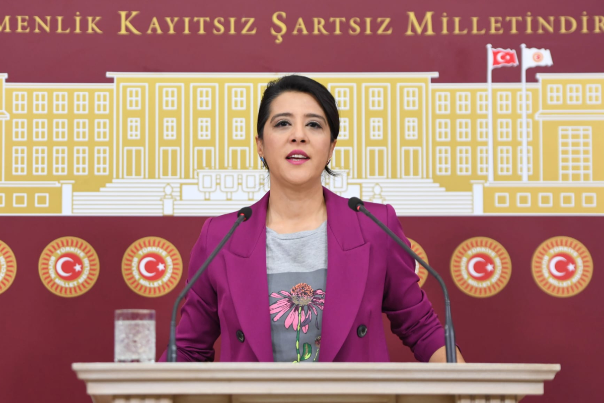 EMEP'li Sevda Karaca'dan ‘Sayıştay skandalı’ tepkisi: Usulsüzlüğü tespit eden denetçiye ihraç ve mobbing