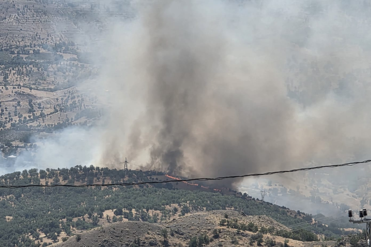 Adıyaman'da orman yangını