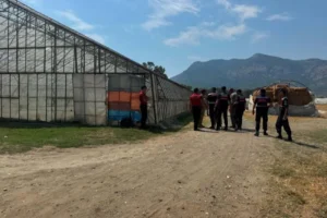 Muğla'da 4 gündür kayıp olarak aranıyordu: Serada cansız bedeni bulundu