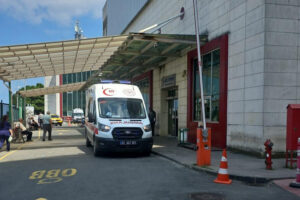 Ordu'da ırmağa giren mevsimlik işçi iki kardeşten Ersin hayatını kaybetti; diğerinin durumu ağır