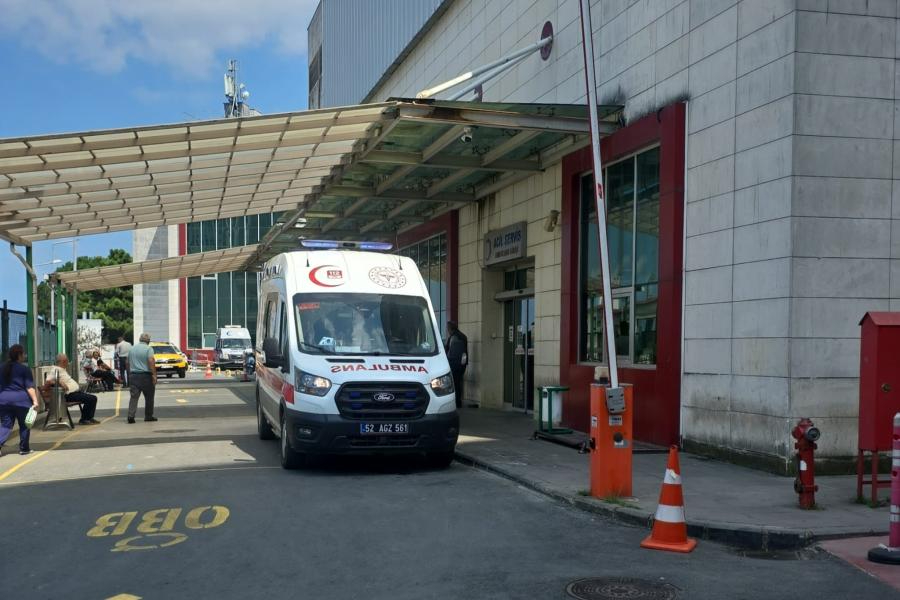 Ordu'da ırmağa giren mevsimlik işçi iki kardeşten Ersin hayatını kaybetti; diğerinin durumu ağır