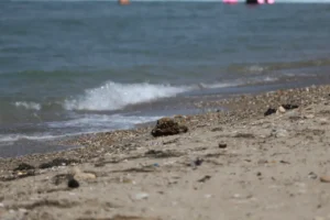 Çanakkale'de plajda mühimmat bulundu