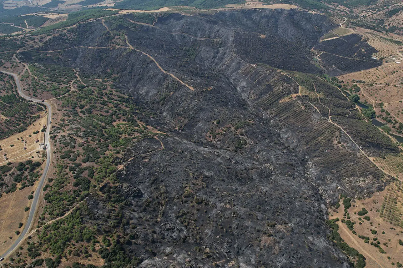 Manisa'da yangından 100 hektar alan zarar gördü