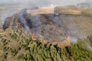 Hatay'da orman yangını