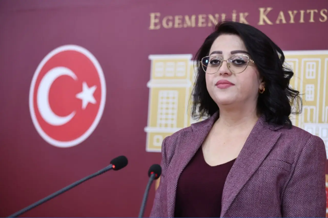 DEM Partili Öznur Bartin'den Meclis araştırması talebi: “Yaban keçilerinin yaşam hakkı satılamaz”