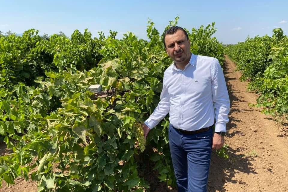Yeni Partili Başevirgen'den üzüm fiyatı uyarısı: 150 TL'nin altı üretimi durdurur