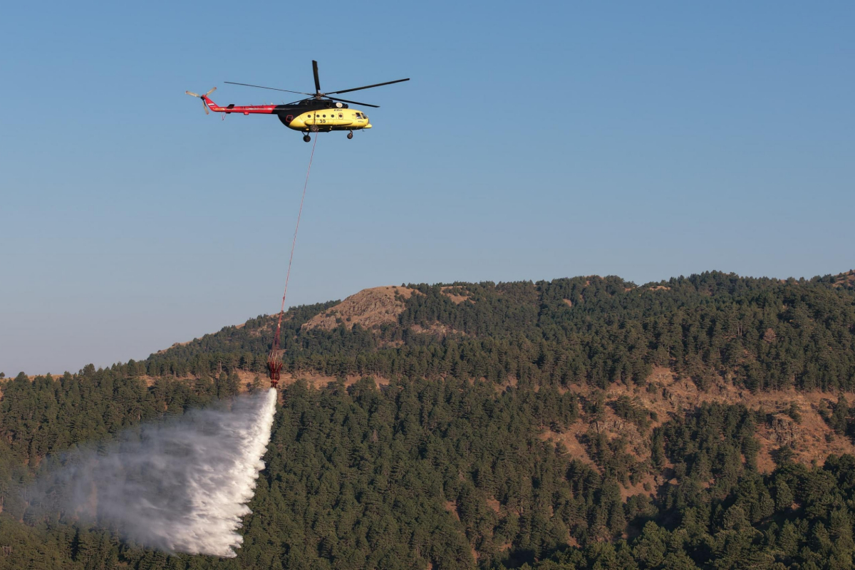 Aydın'daki orman yangını 2'nci gününde